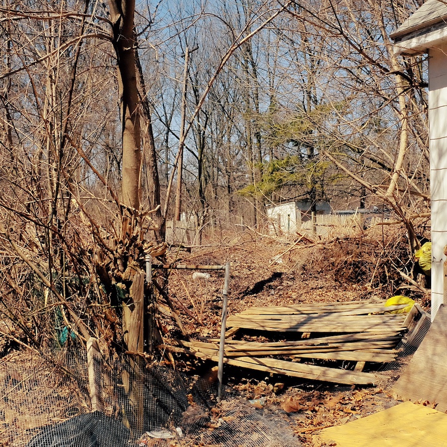 Photograph of the backyard of a house with several feet deep of brush dumped for as far back as the photo shows.
