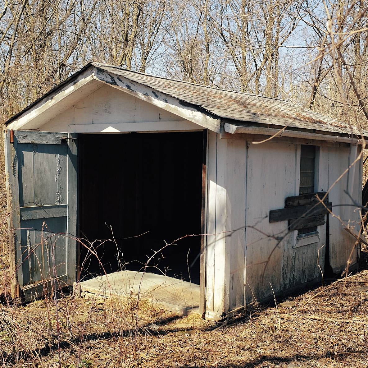 Photograph of a white, wooden shed in a field.